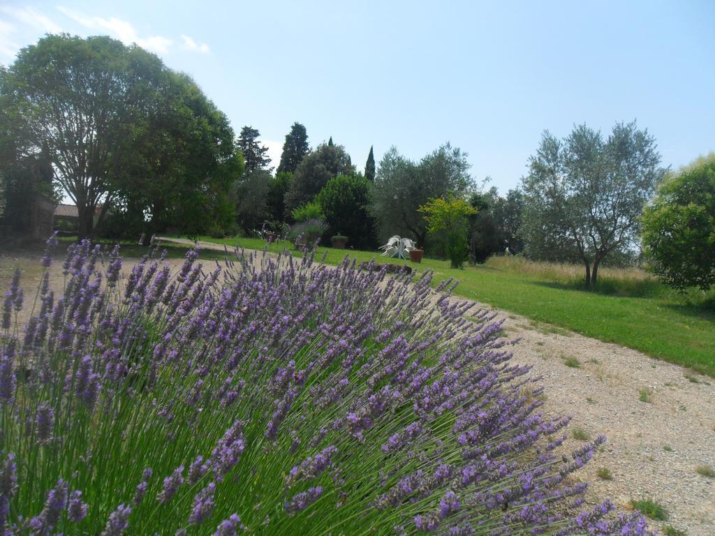Fullino Nero Rta - Residenza Turistico Alberghiera Siena Exterior foto
